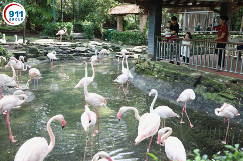 Top 8 địa điểm đáng trải nghiệm quanh TP. Hồ Chí Minh