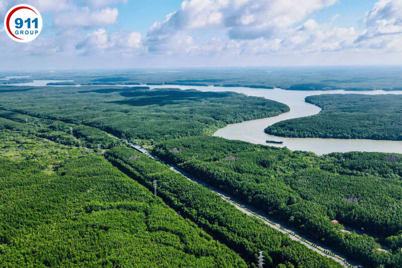 Top 8 địa điểm đáng trải nghiệm quanh TP. Hồ Chí Minh