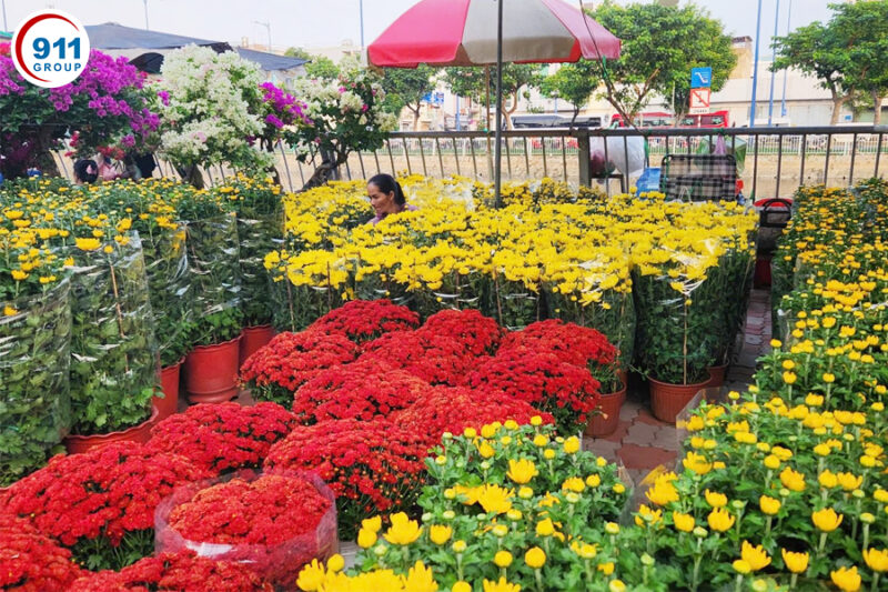 Chợ hoa Tết Biên Hòa