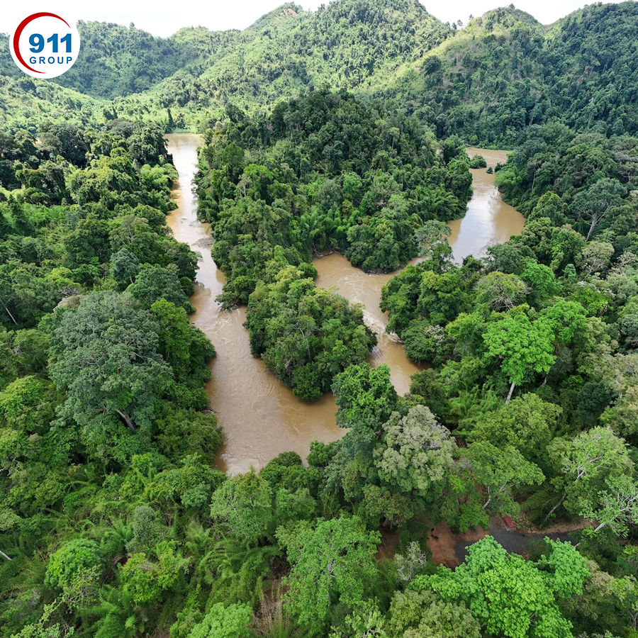 Khám Phá Vườn Quốc Gia Nam Cát Tiên Thiên Đường Xanh