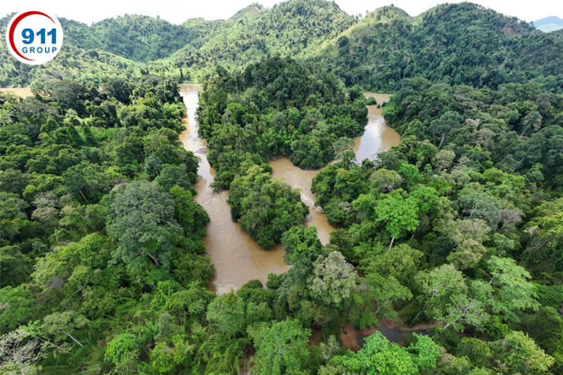 Khám Phá Vườn Quốc Gia Nam Cát Tiên Thiên Đường Xanh